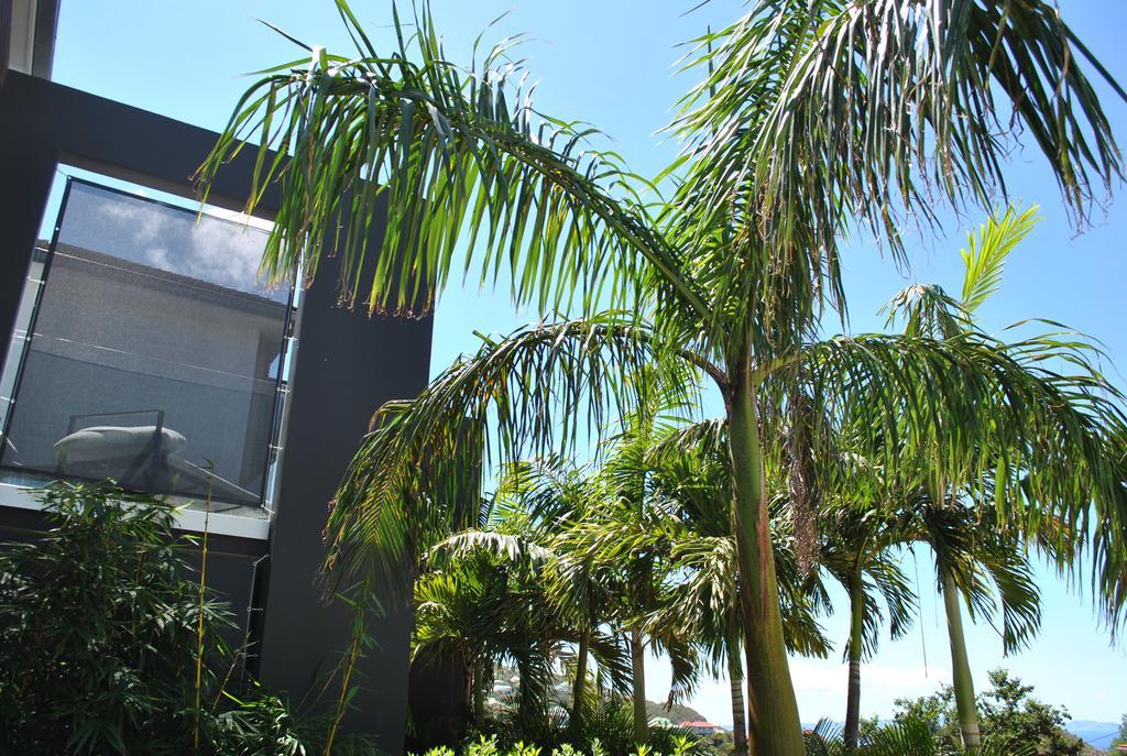 Reve De St. Barth Aparthotel Gustavia Eksteriør bilde