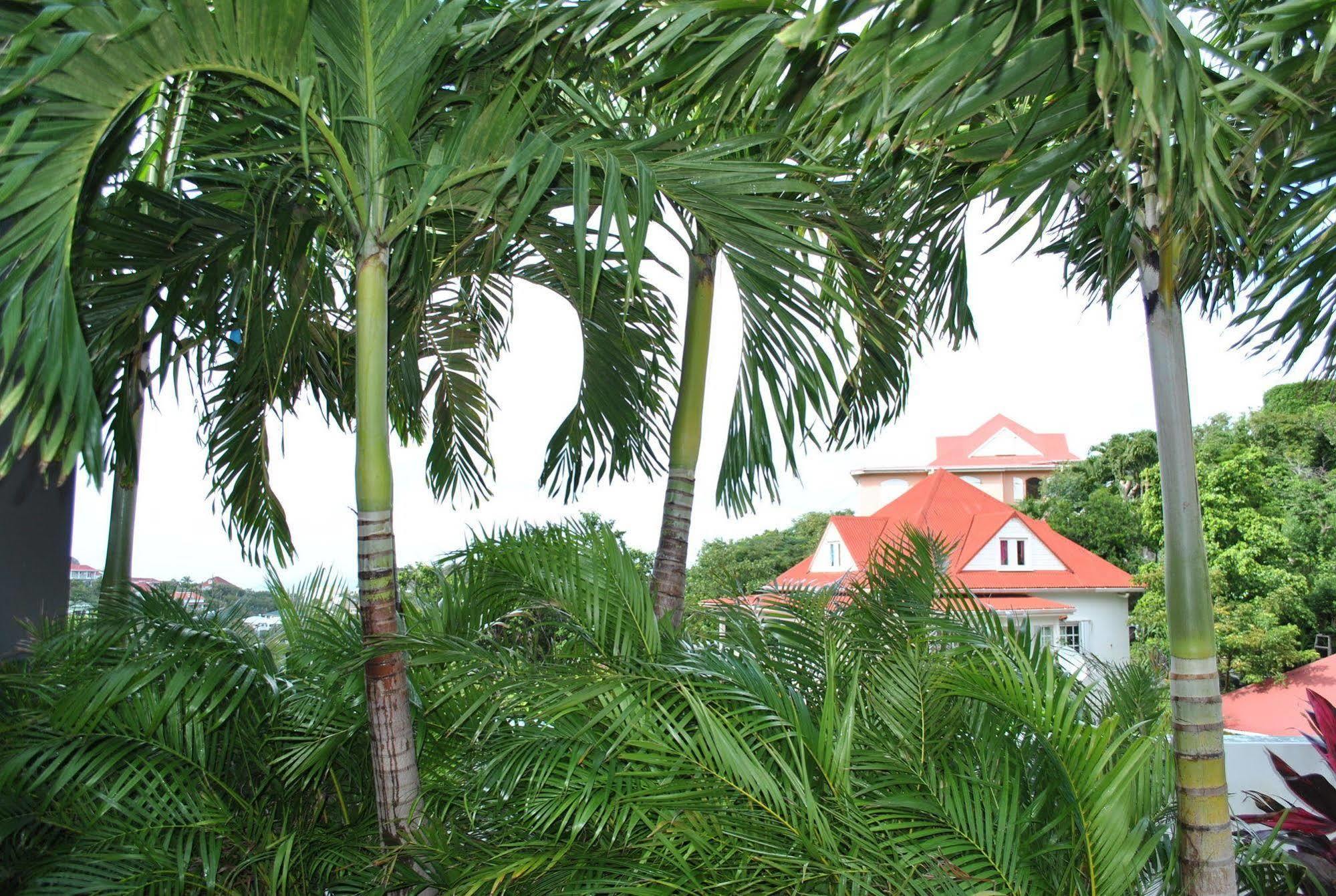 Reve De St. Barth Aparthotel Gustavia Eksteriør bilde