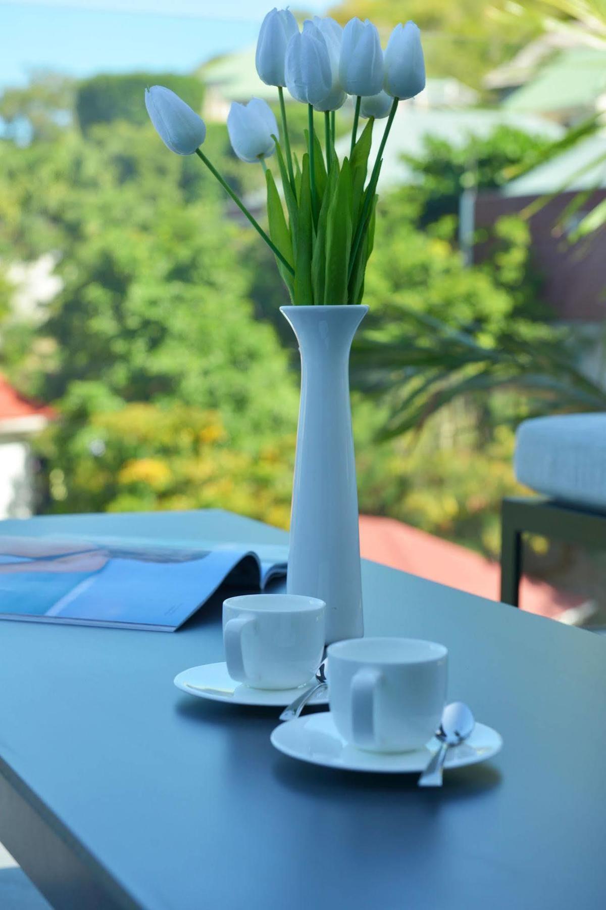 Reve De St. Barth Aparthotel Gustavia Eksteriør bilde